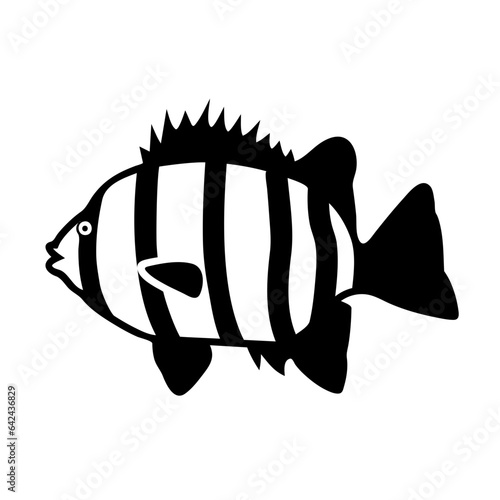  fish, rock bream, vector icon