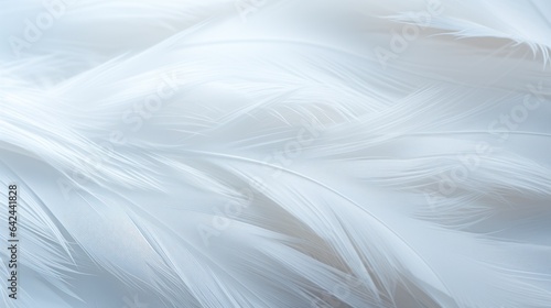 snow white feathers, feathers close up, background texture, abstract. background of feathers, close-up © Margo_Alexa