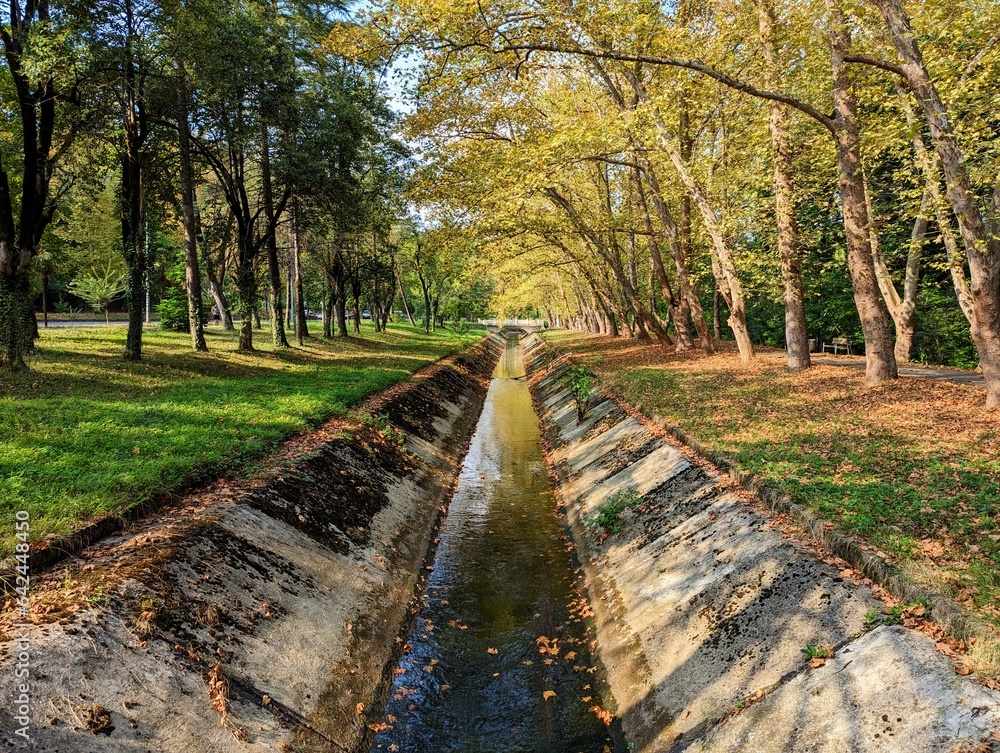 Fototapeta premium Canal in the autumn park