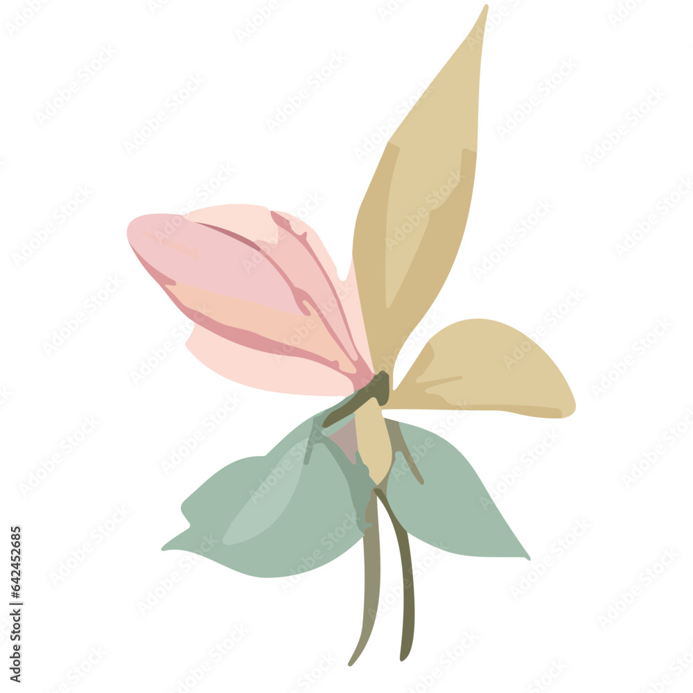 Blossoming Border Collection: Beautiful Flowers for Creative Projects Blossoming Border Collection: Beautiful Flowers for Creative Projects
