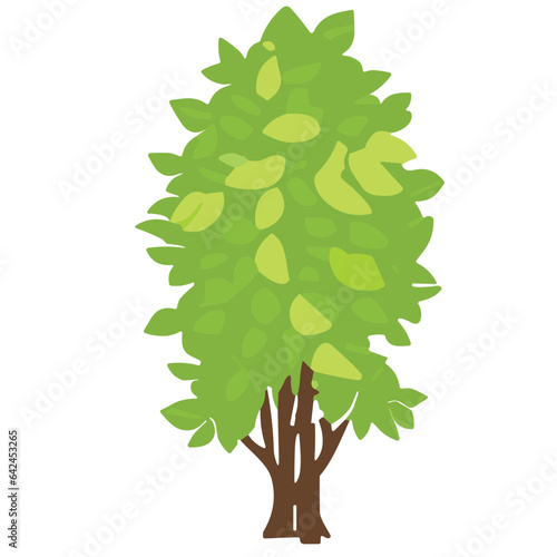 Green tree isolated on white background, with leaves and branches, representing nature and growth