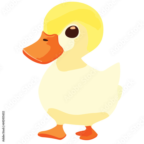 Isolated yellow duck on a clean background