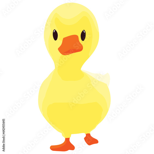 Isolated yellow duck on a clean background