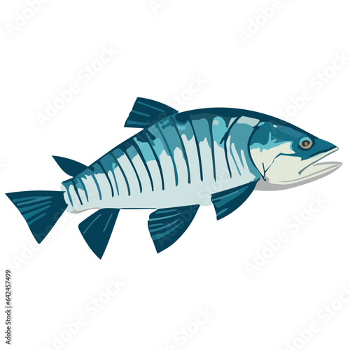 Isolated fish illustration with white background