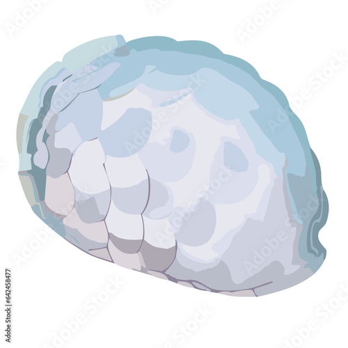 Seashell illustration in brown with tropical beach vibes, isolated design featuring marine scallop patterns and clam shapes for summer decoration