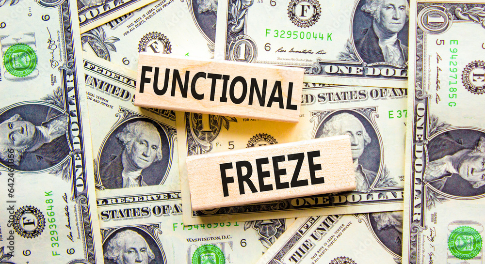 Functional freeze symbol. Concept words Functional freeze on beautiful wooden blocks. Dollar bills. Beautiful background from dollar bills. Business psychology functional freeze concept. Copy space.