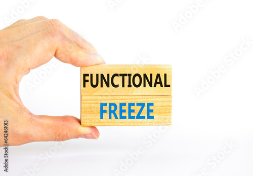 Functional freeze symbol. Concept words Functional freeze on beautiful wooden blocks. Beautiful white background. Businessman hand. Business psychology functional freeze concept. Copy space.