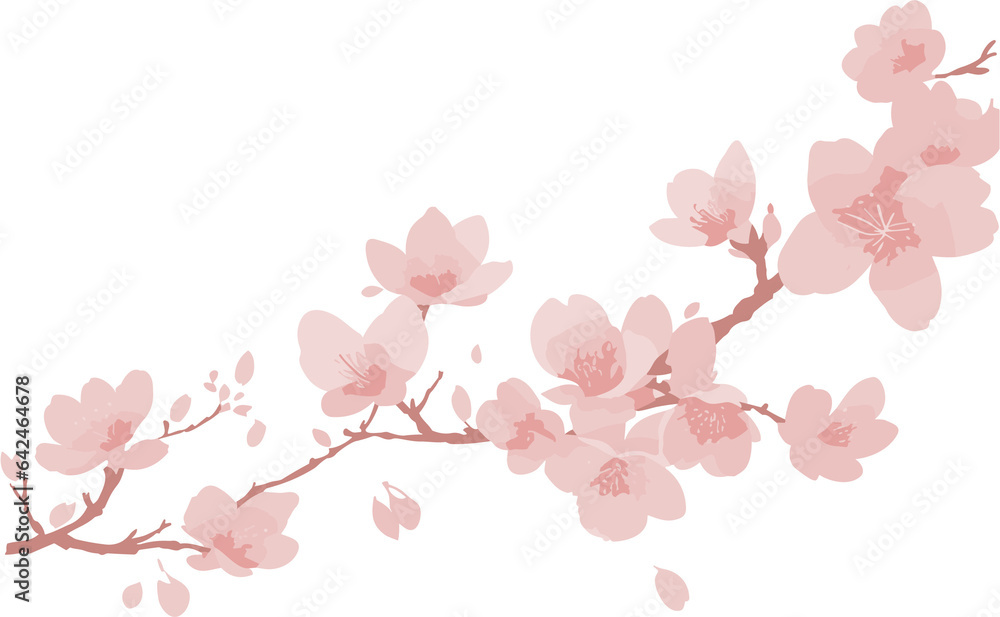 Blooming Elegance A Delightful Sakura Vector Illustration, Perfect for Capturing the Beauty of Cherry Blossoms in Your Designs