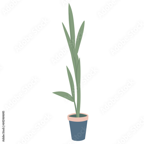 Potted Plant with Flowers, Leaves, and Greenery in a Decorative Pot for Home Gardening and Decoration