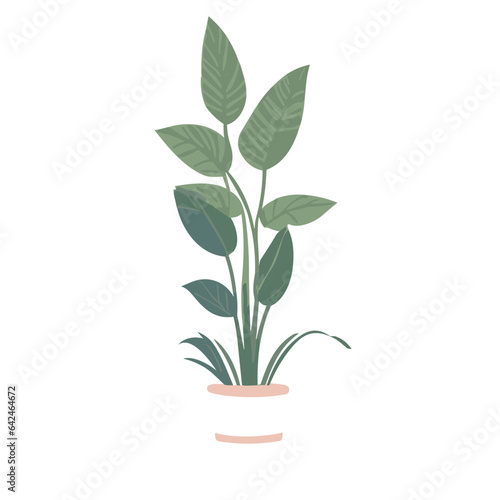 Potted Plant with Flowers, Leaves, and Greenery in a Decorative Pot for Home Gardening and Decoration