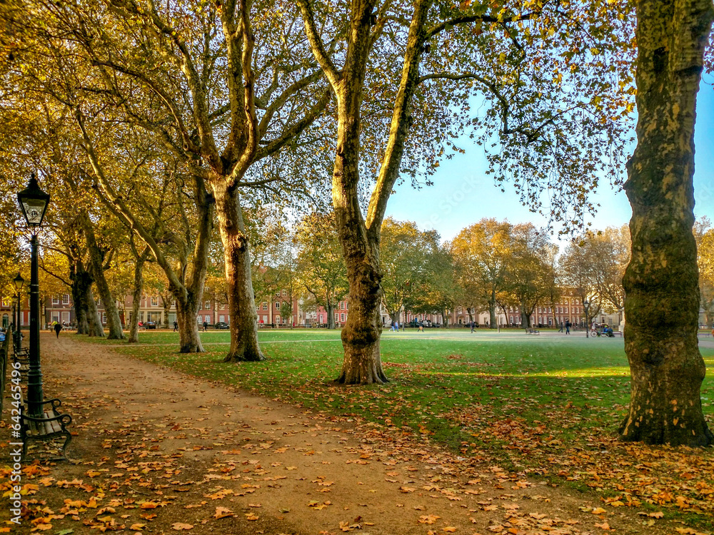 Large autumn trees with leaves falling to the ground around Queens Square in Bristol, England, UK, with grass growing in the middle of the square and black seats and streetlamps around the outside. Large autumn trees with leaves falling to the ground around Queens Square in Bristol, England, UK, with grass growing in the middle of the square and black seats and streetlamps around the outside.