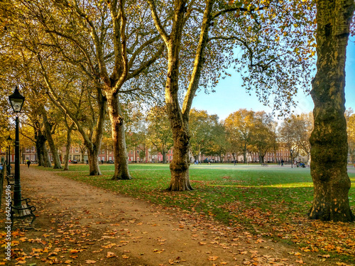 Large autumn trees with leaves falling to the ground around Queens Square in Bristol, England, UK, with grass growing in the middle of the square and black seats and streetlamps around the outside.