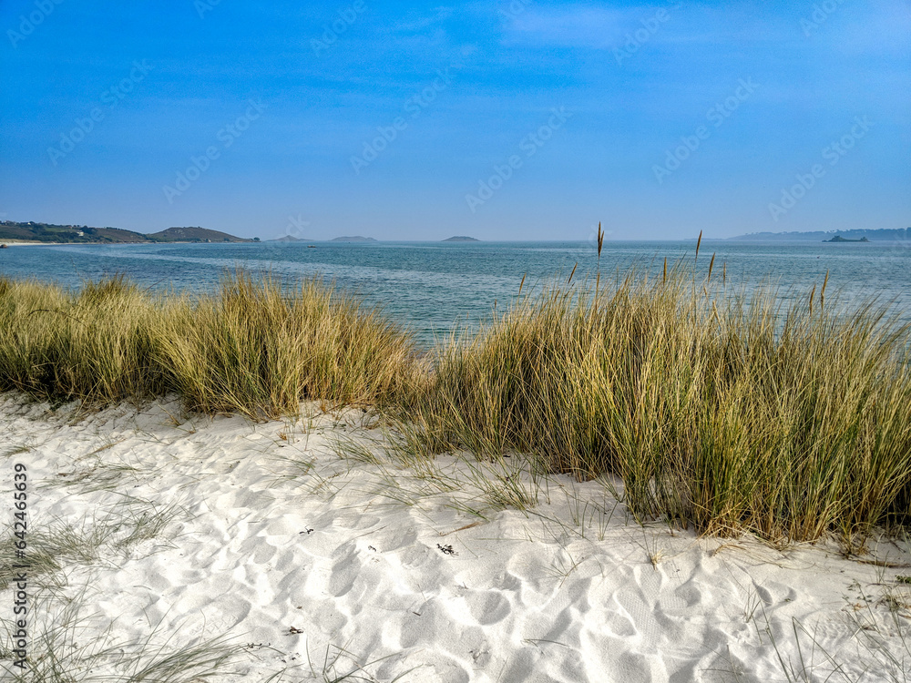 White sandy dunes with green grass growing, in front of a blue sea with islands visible on the horizon and a bright blue sky. - obrazy, fototapety, plakaty 