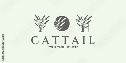 set cattail logo line art illustration design reed grass minimalist