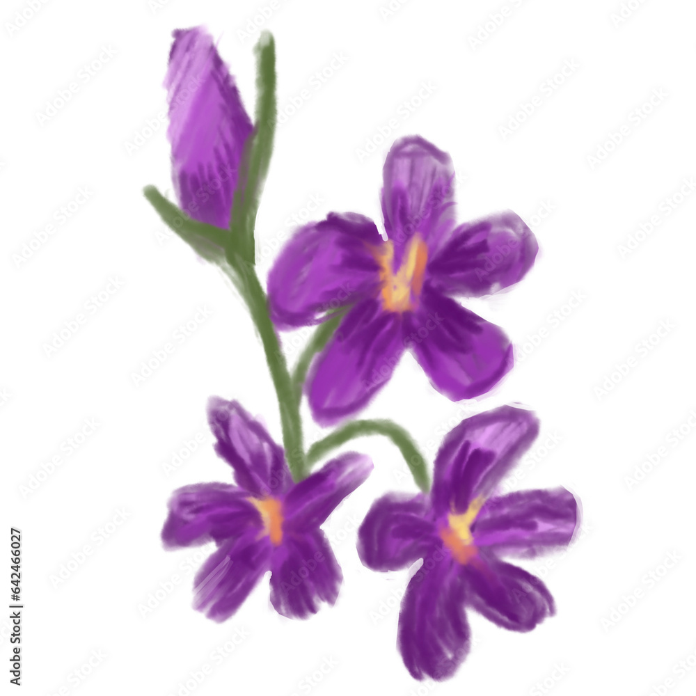 Obraz premium purple iris isolated on white background