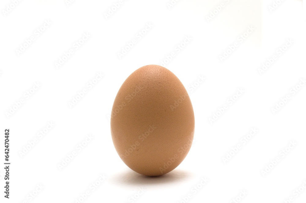 chicken egg isolated on white background chicken egg isolated on white background
