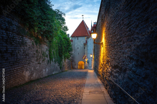 Illuminated Long Leg Gate Tower at night - Tallinn, Estonia photo