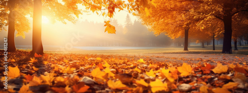 Autumn background with leaves on a sunny day © MP Studio