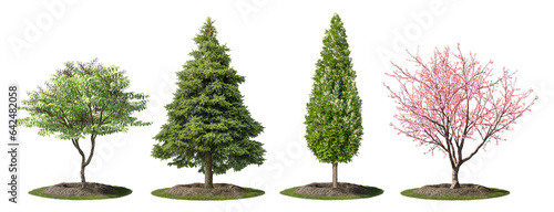 Cutout shrubs for garden design or landscaping. Group of trees and pine isolated on transparent background. 