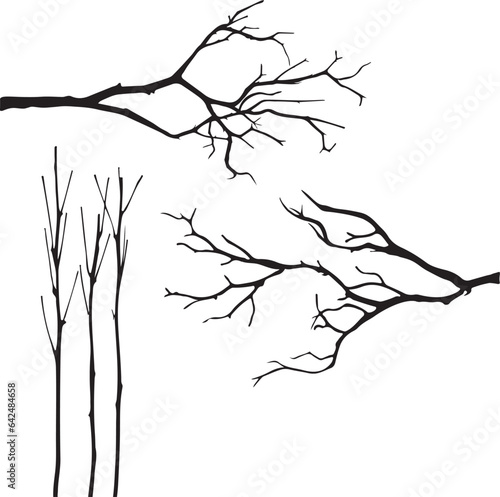 tree branches set