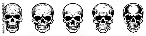 Human skulls set. Skull silhouettes. Skull icons set. Collection of skulls