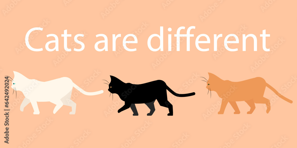 Different cats. Fur colors. White, red or black shorthair kittens. Adorable meow pet. Funny phrase. Walking domestic animals. Fluffy pussycats. Kitties cartoon card. Vector banner design