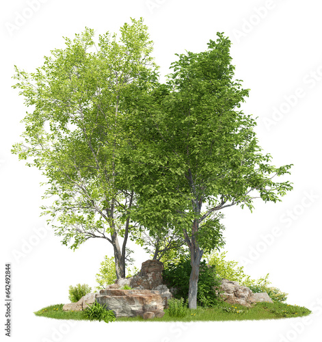 Fotografi Group of trees among the rocks