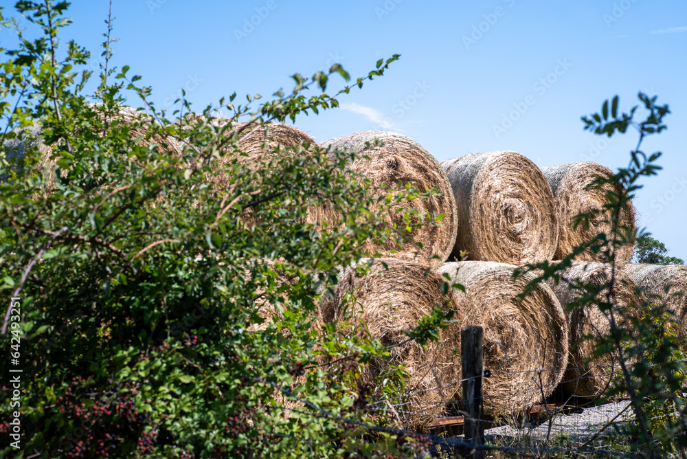 Fototapeta premium des meules de foin dans une ferme du centre de la France en Europe
