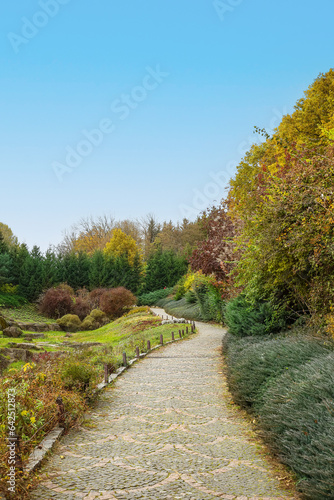 View of beautiful autumn pa...