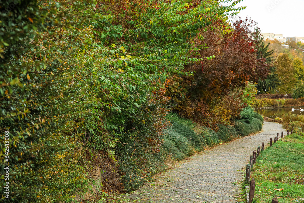 View of beautiful autumn park with alley, bushes and trees View of beautiful autumn park with alley, bushes and trees