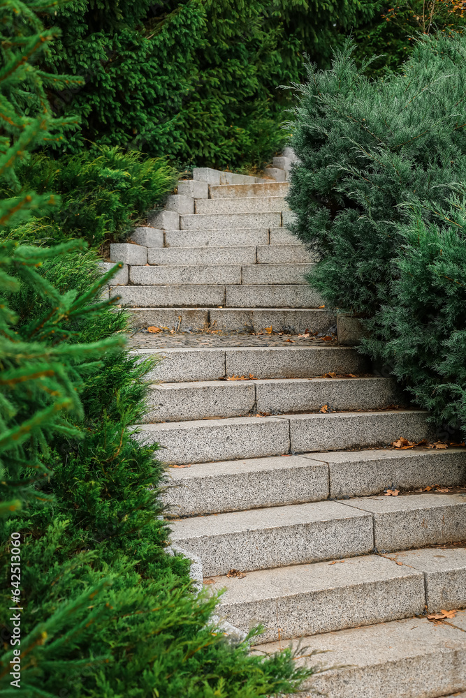 View of stairs and coniferous bushes in park View of stairs and coniferous bushes in park