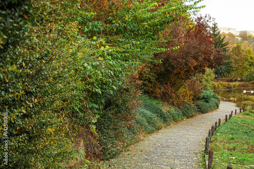 View of beautiful autumn pa...