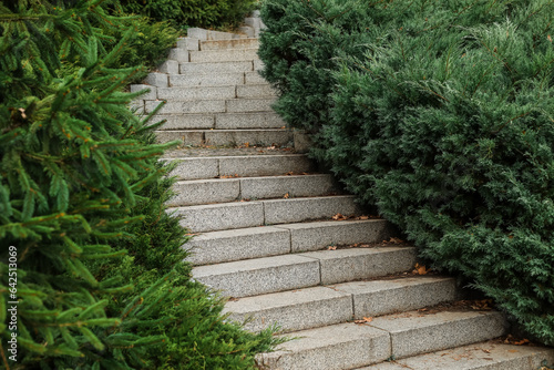 View of stairs and coniferous bushes in park