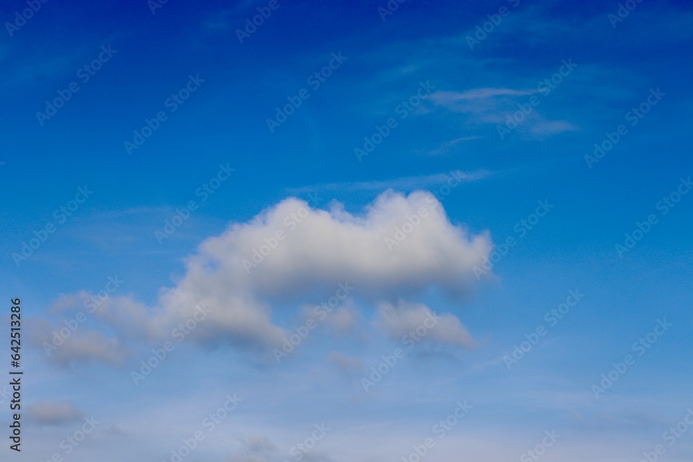 Fototapeta premium The white cloud in the bright blue sky.