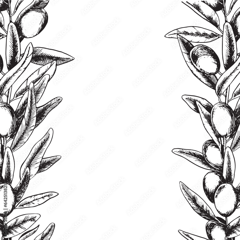 Vetor de Olive branches, leaves and fruits. Frame of branches olive ...