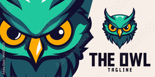 Fototapeta Naklejka Na Ścianę i Meble -  Owl Illustration: Logo, Mascot, Artwork, Vector Graphics for Sports and E-Sport Gaming Teams, Mascot Head of an Angry Owl