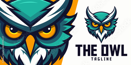 Fototapeta Naklejka Na Ścianę i Meble -  Owl in Illustration: Logo, Mascot, Art, Vector Graphic for Sports and E-Sport Teams, Mascot Head of a Furious Owl