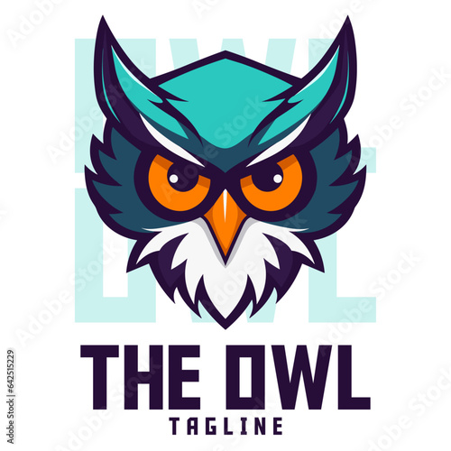 Illustrated Owl: Logo, Mascot Design, Illustration, Vector Graphics for Sports and E-Sport Teams, Angry Owl Mascot Head