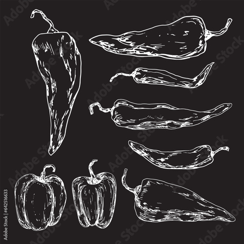 Set of hot peppers sketches. Drawn on chalkboard paprika illustration. Hand drawn pepper and chilli isolated on black background. Сollection of vegetables. Drawing of paprika with hatching