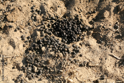 The Amazing Landscapes of Bada, Kutch