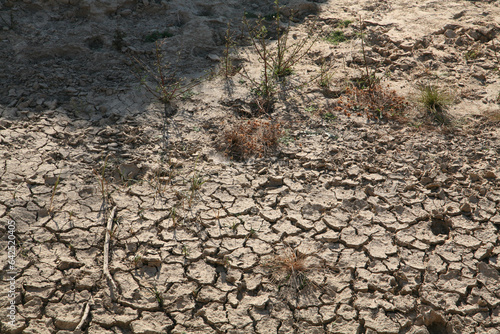 The Amazing Landscapes of Bada, Kutch