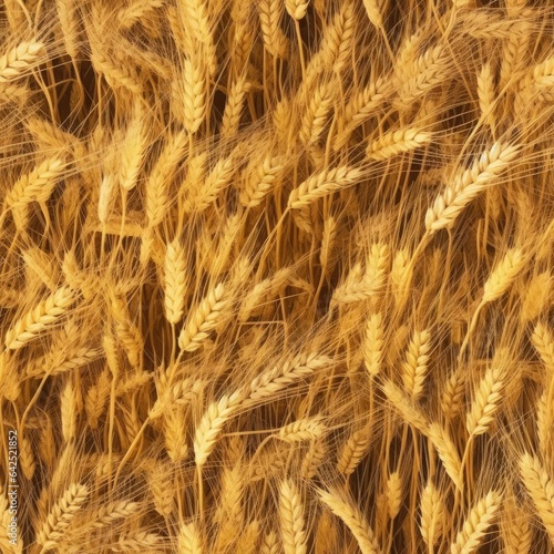 Seamless texture of ears of wheat