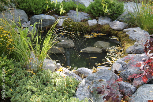Wallpaper Mural A Small Garden Pond Surrounded by Rocks and Plants. Torontodigital.ca