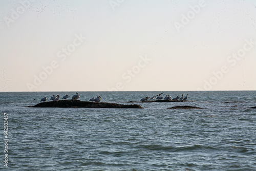 The Breathtaking Landscapes of Bada, Kutch