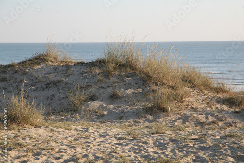 The Breathtaking Landscapes of Bada, Kutch