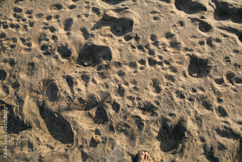 The Breathtaking Landscapes of Bada, Kutch