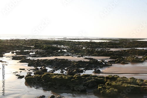 The Breathtaking Landscapes of Bada, Kutch