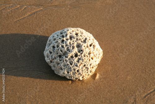 The Breathtaking Landscapes of Bada, Kutch