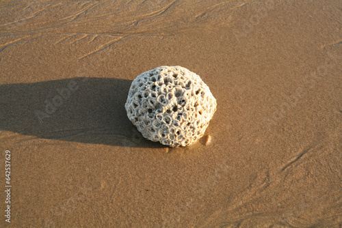 The Breathtaking Landscapes of Bada, Kutch