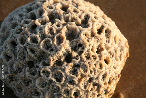 The Breathtaking Landscapes of Bada, Kutch